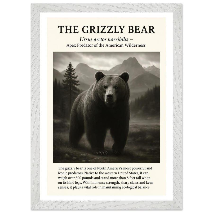 The Grizzly Bear – Canvas Art Print | Canvas of America