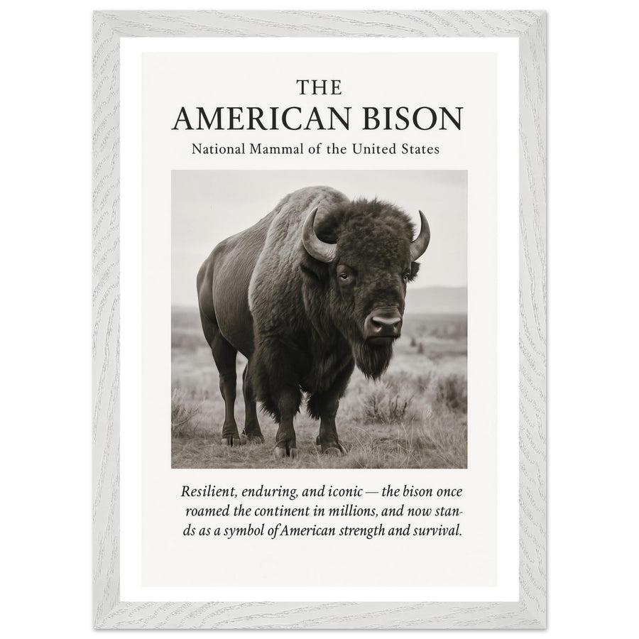 The American Bison – Canvas Art Print | Canvas of America