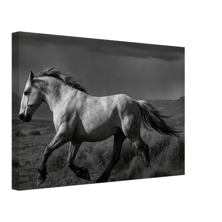 American Mustang – Canvas Art Print | Canvas of America
