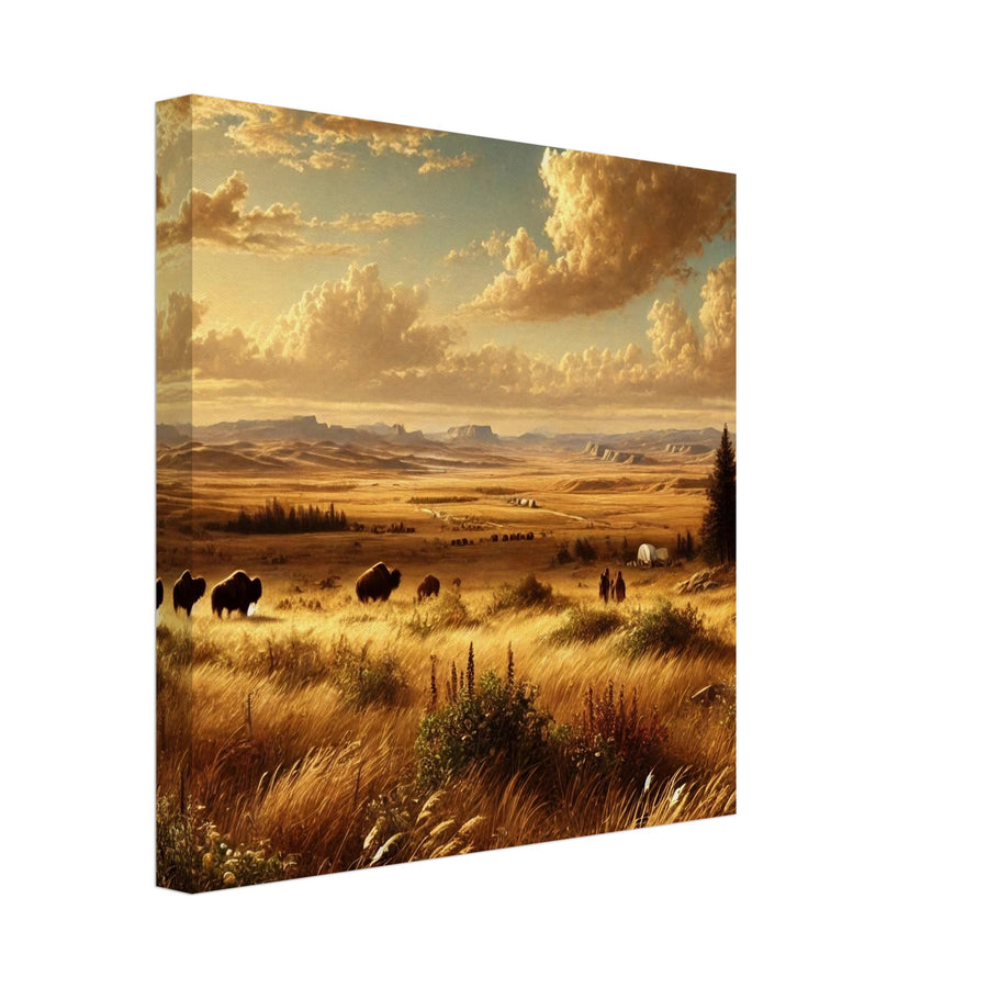 Early Prairie – Canvas Art Print | Canvas of America