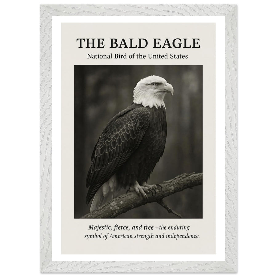The Bald Eagle – Canvas Art Print | Canvas of America