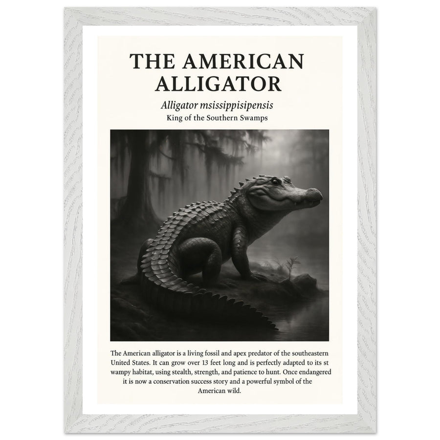 The American Alligator – Canvas Art Print | Canvas of America