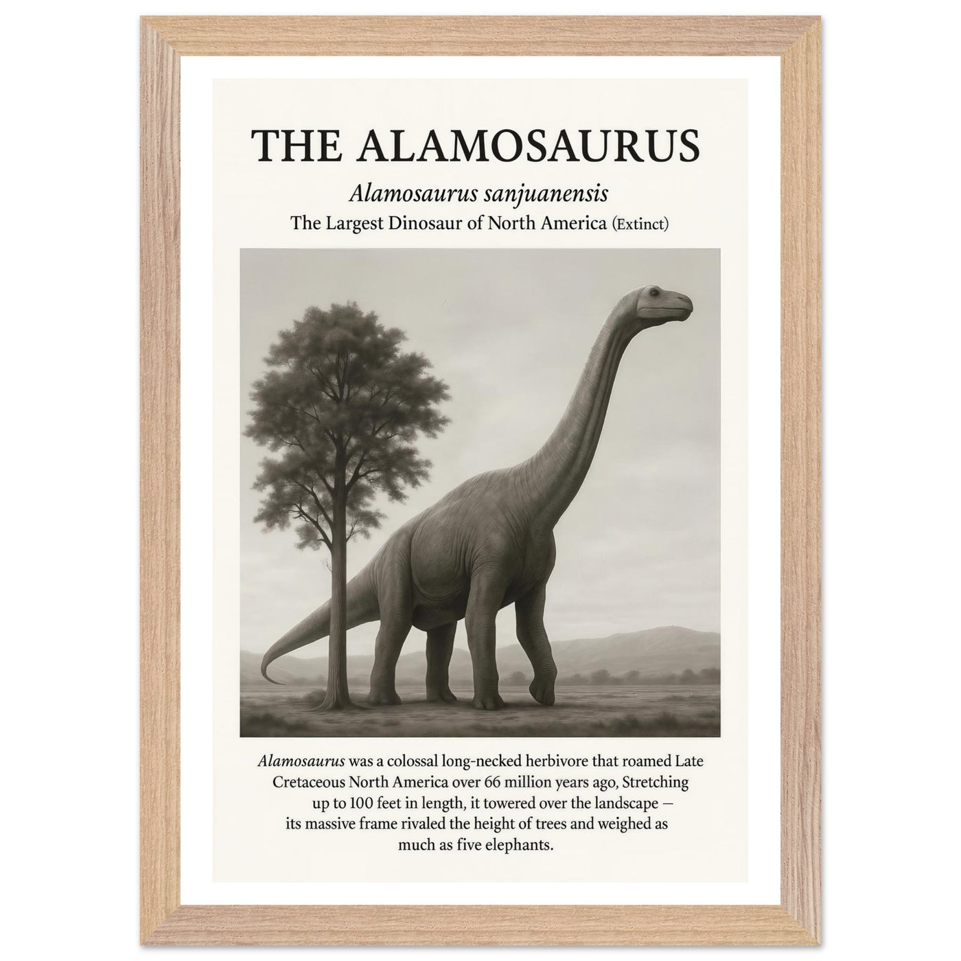 The Alamosaurus – Canvas Art Print | Canvas of America
