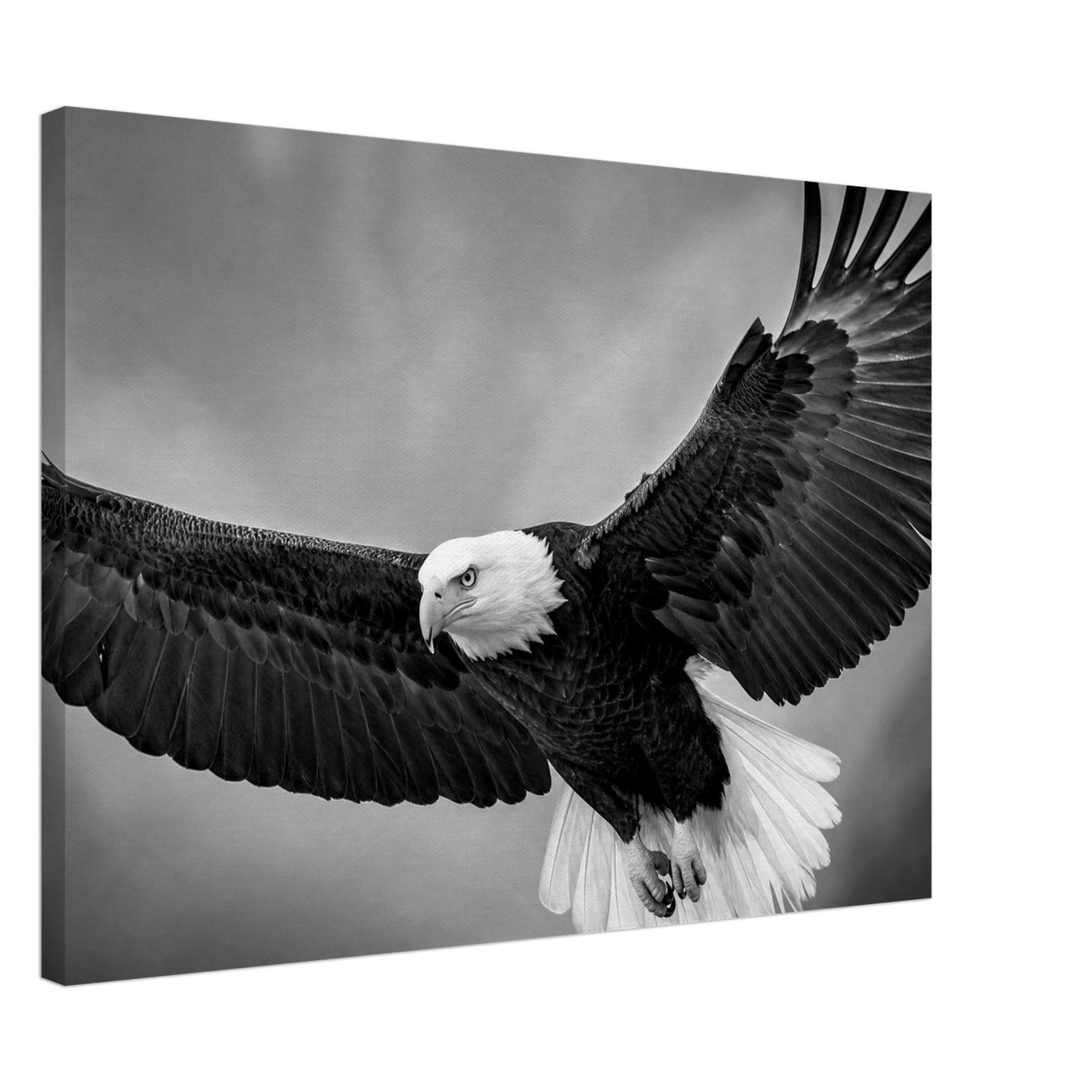 Canvas print of a bald eagle in flight — room view, ready to hang.