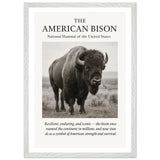 The American Bison – Canvas Art Print | Canvas of America
