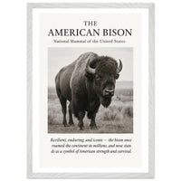 The American Bison – Canvas Art Print | Canvas of America