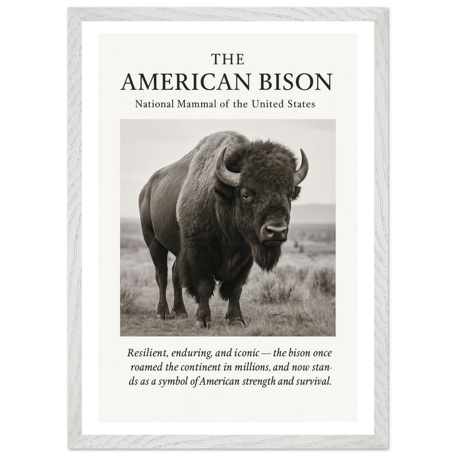 The American Bison – Canvas Art Print | Canvas of America