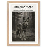 The Red Wolf – Canvas Art Print | Canvas of America