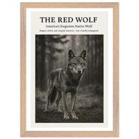 The Red Wolf – Canvas Art Print | Canvas of America