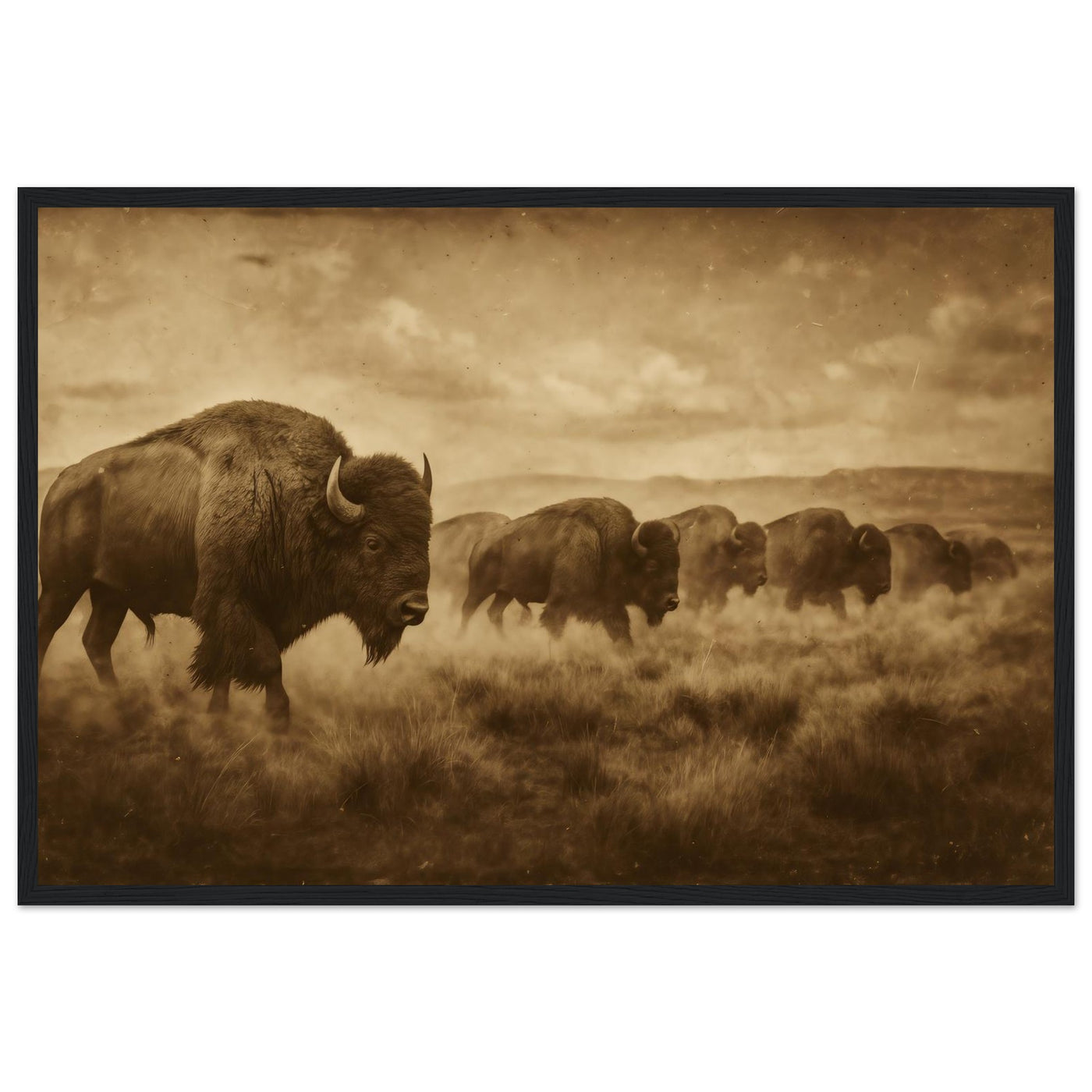 1800s Bison Herd – Canvas Art Print | Canvas of America