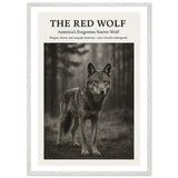 The Red Wolf – Canvas Art Print | Canvas of America
