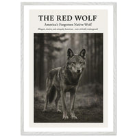 The Red Wolf – Canvas Art Print | Canvas of America