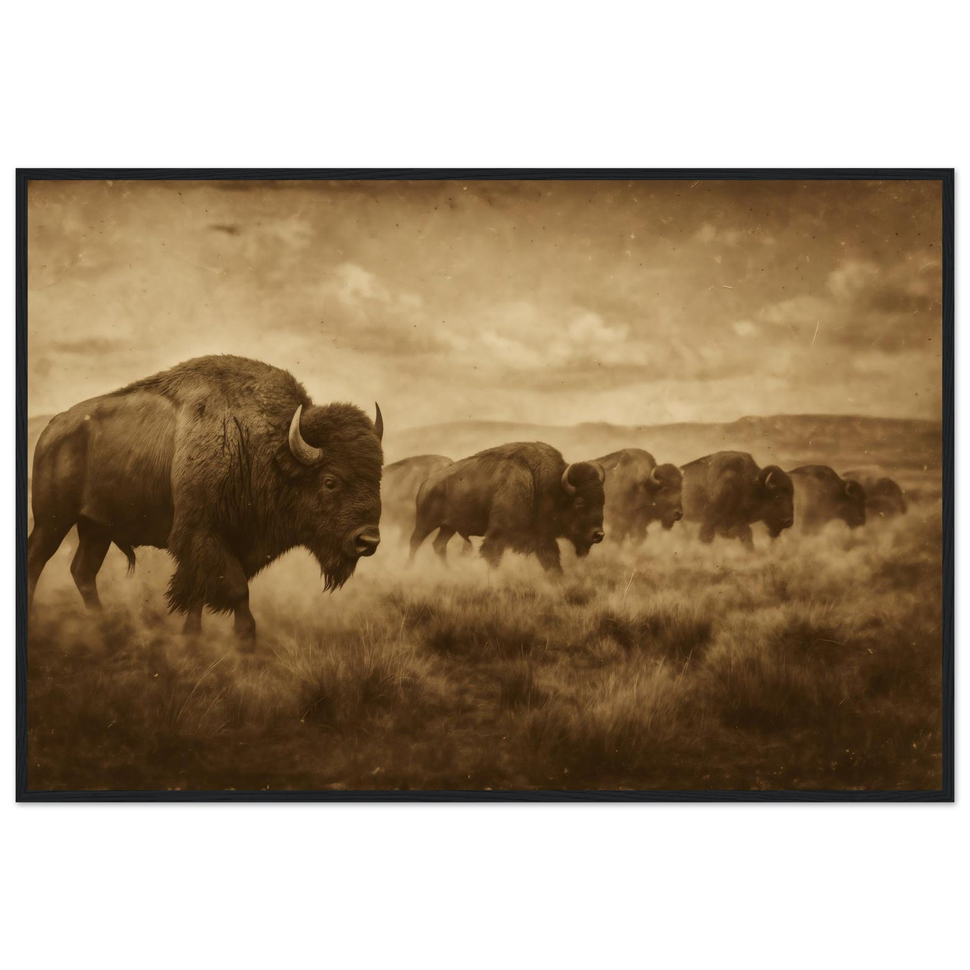 1800s Bison Herd – Canvas Art Print | Canvas of America