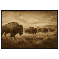 1800s Bison Herd – Canvas Art Print | Canvas of America