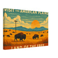 Visit the American Plains