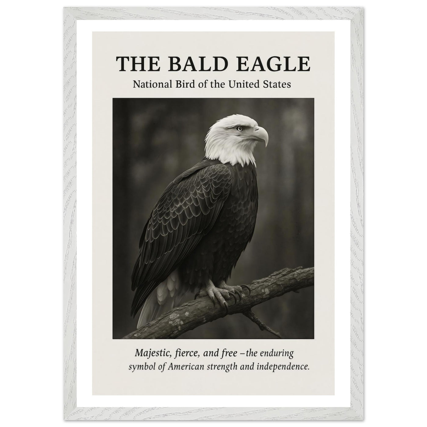 The Bald Eagle – Canvas Art Print | Canvas of America