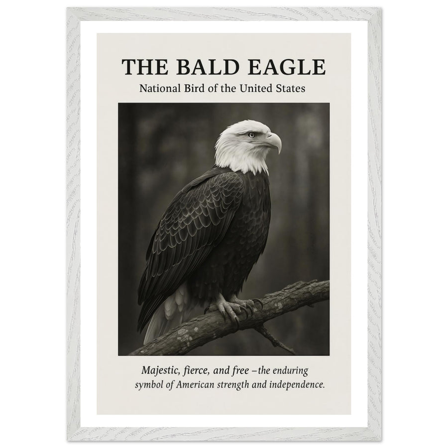 The Bald Eagle – Canvas Art Print | Canvas of America