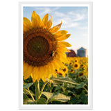 1750aad0-f871-4455-81cd-09449916c15f