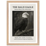 The Bald Eagle – Canvas Art Print | Canvas of America