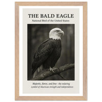 The Bald Eagle – Canvas Art Print | Canvas of America