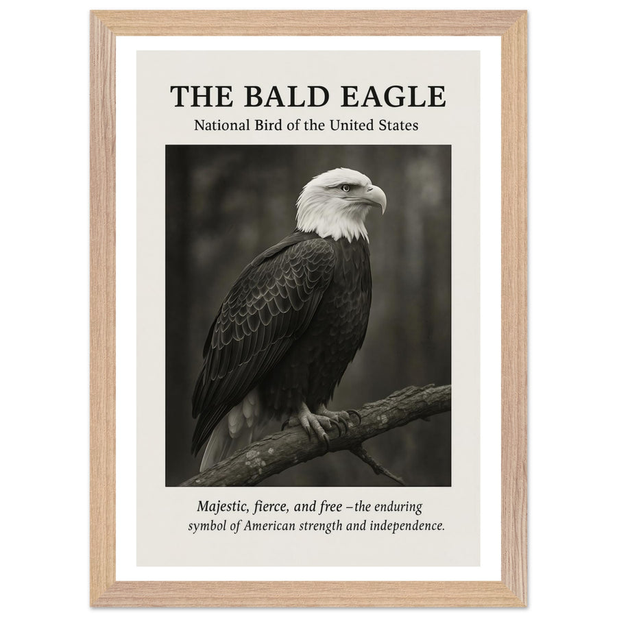 The Bald Eagle – Canvas Art Print | Canvas of America