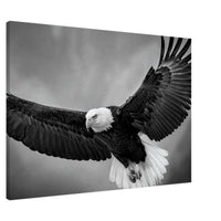 192842e6-6922-48bc-a9a0-768e09facb92