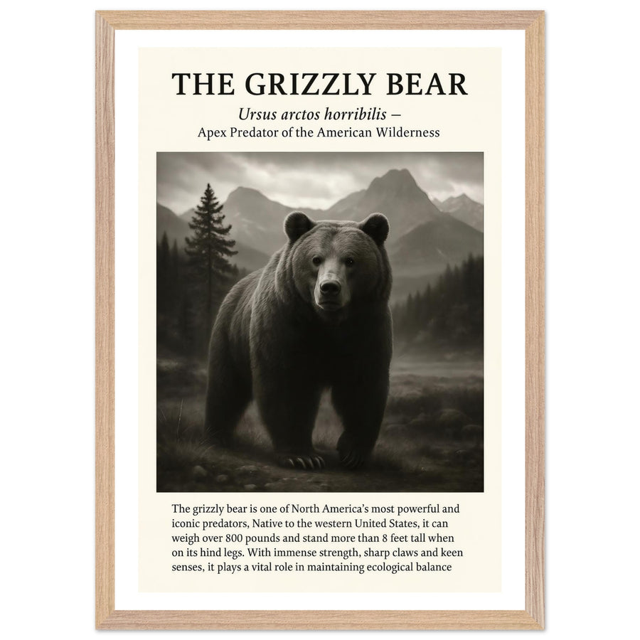 The Grizzly Bear – Canvas Art Print | Canvas of America