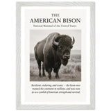 The American Bison – Canvas Art Print | Canvas of America