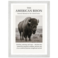 The American Bison – Canvas Art Print | Canvas of America