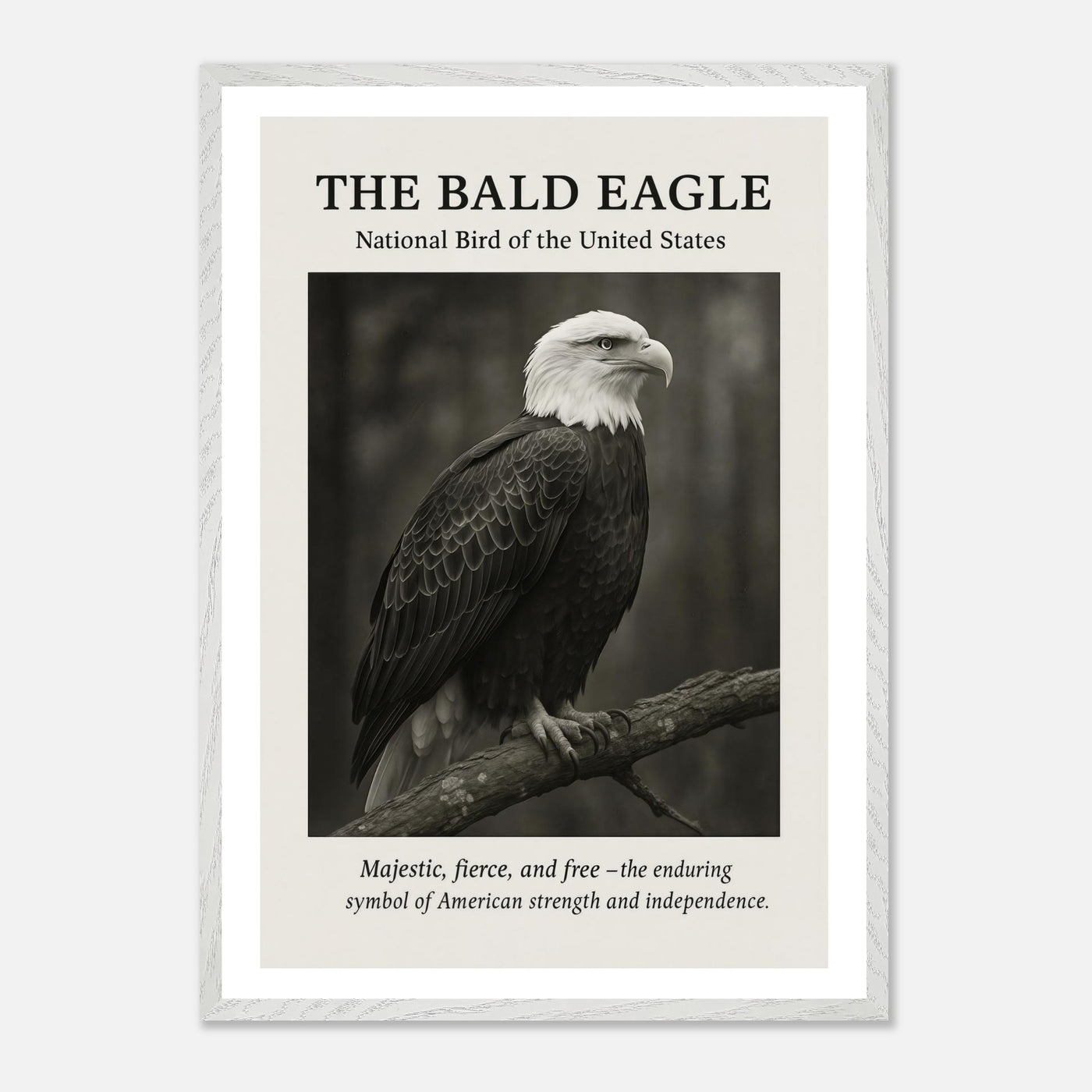 The Bald Eagle – Canvas Art Print | Canvas of America