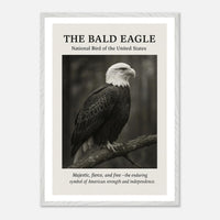 The Bald Eagle – Canvas Art Print | Canvas of America