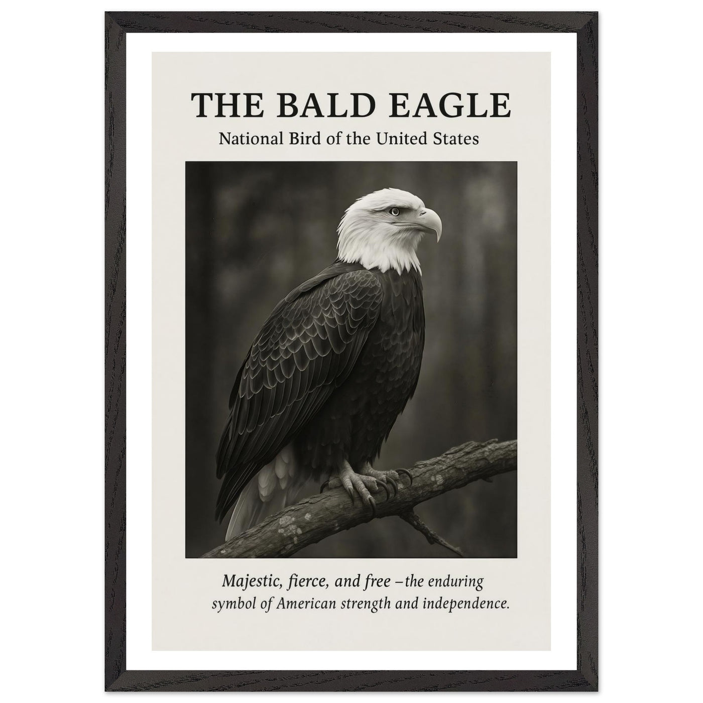 The Bald Eagle – Canvas Art Print | Canvas of America
