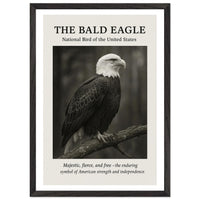The Bald Eagle – Canvas Art Print | Canvas of America