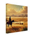 American Prairie
