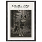 The Red Wolf – Canvas Art Print | Canvas of America