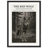 The Red Wolf – Canvas Art Print | Canvas of America