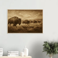 1800s Bison Herd – Canvas Art Print | Canvas of America