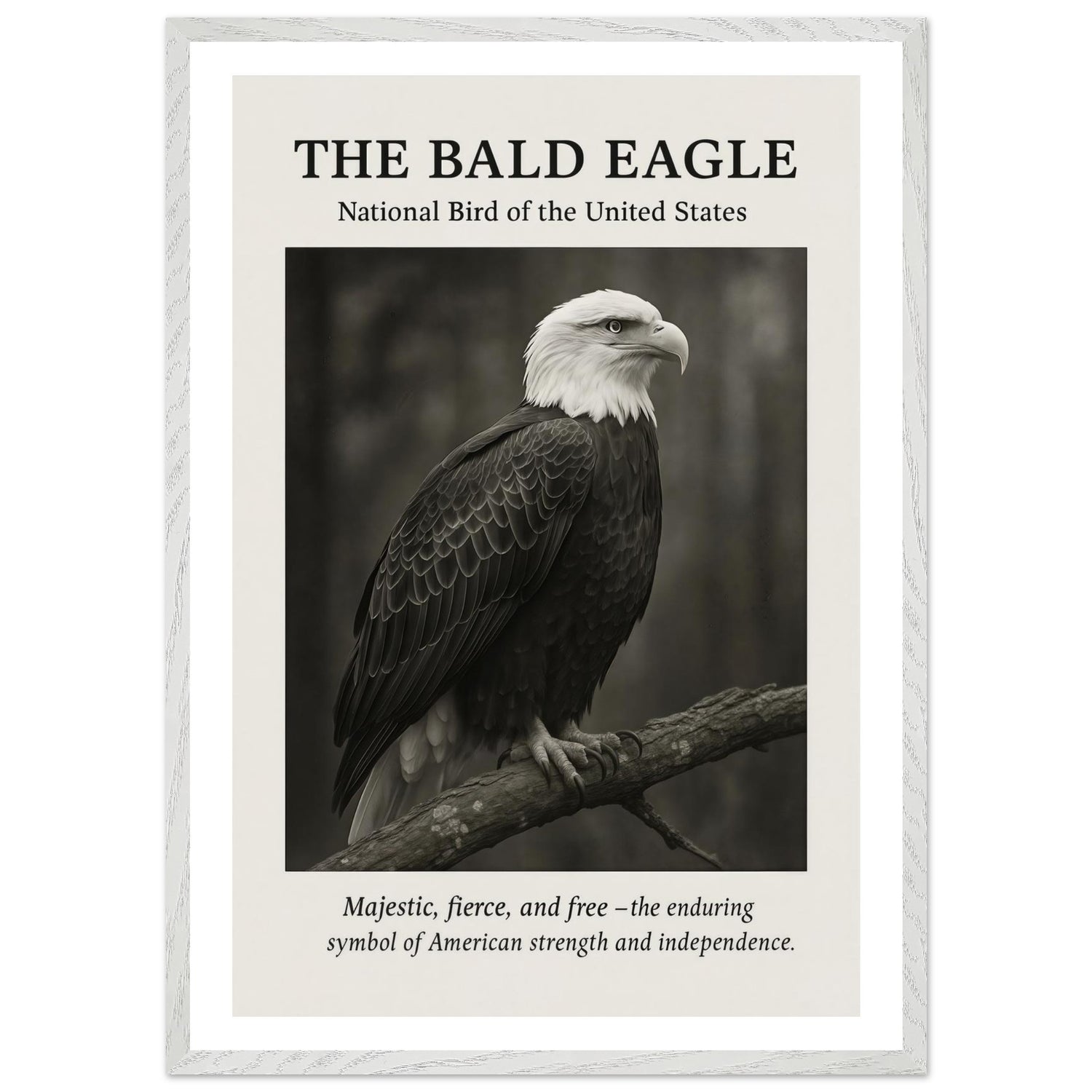 The Bald Eagle – Canvas Art Print | Canvas of America