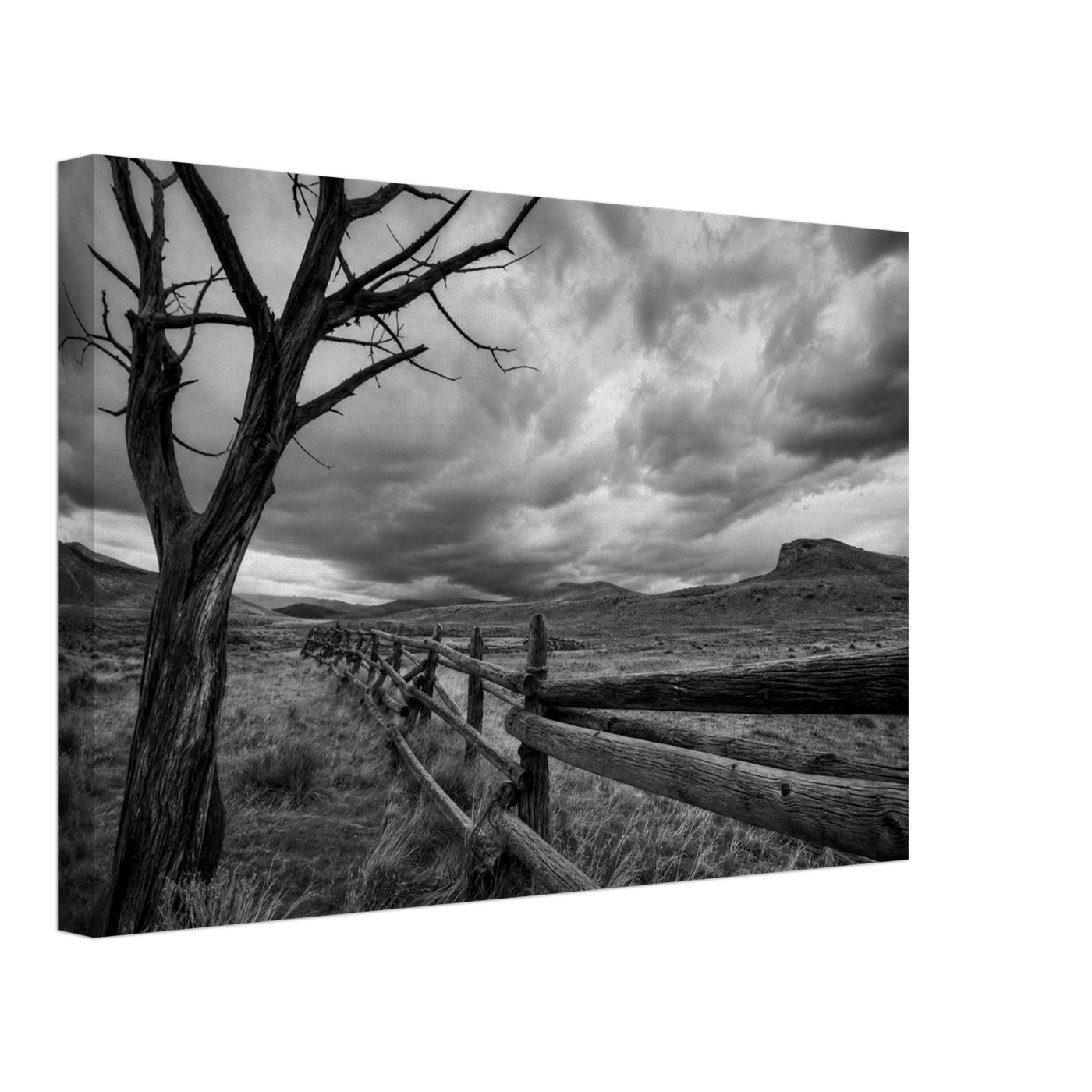 Canvas print of a lone tree and rustic fence — room view, ready to hang.