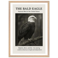 The Bald Eagle – Canvas Art Print | Canvas of America