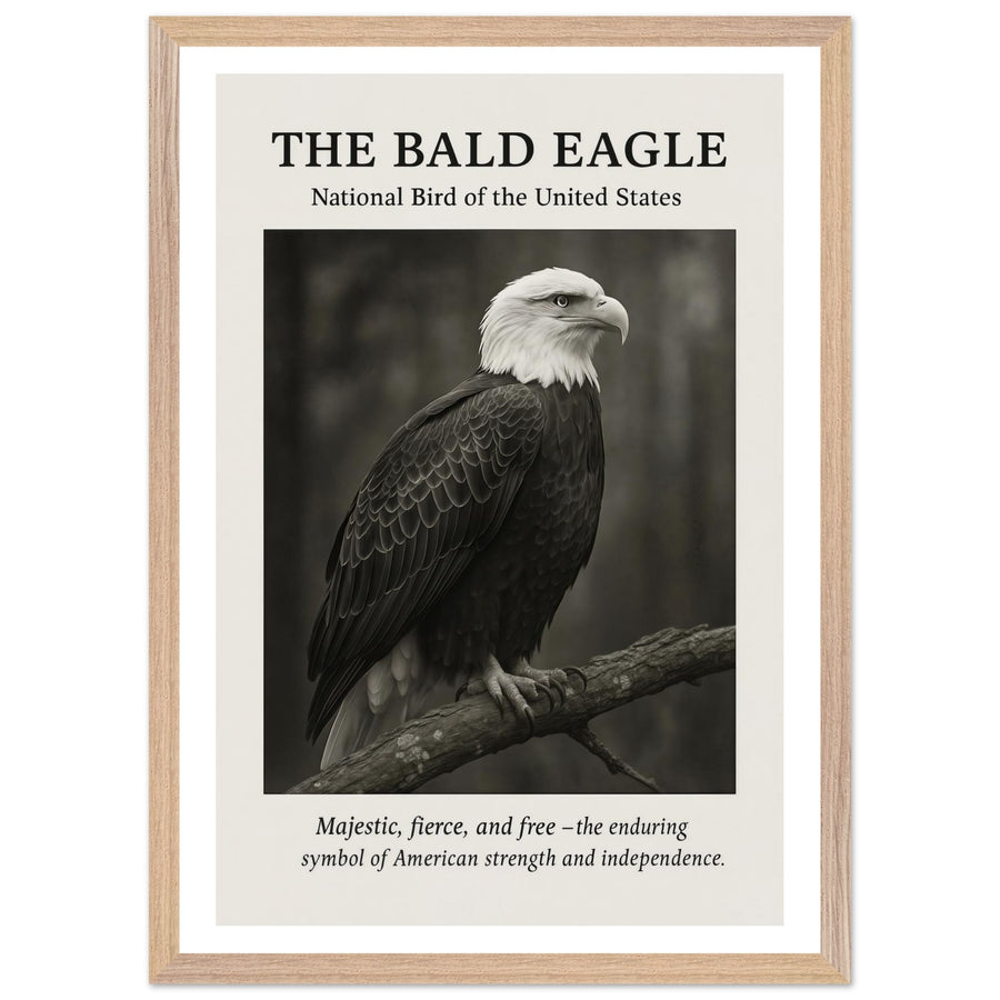 The Bald Eagle – Canvas Art Print | Canvas of America