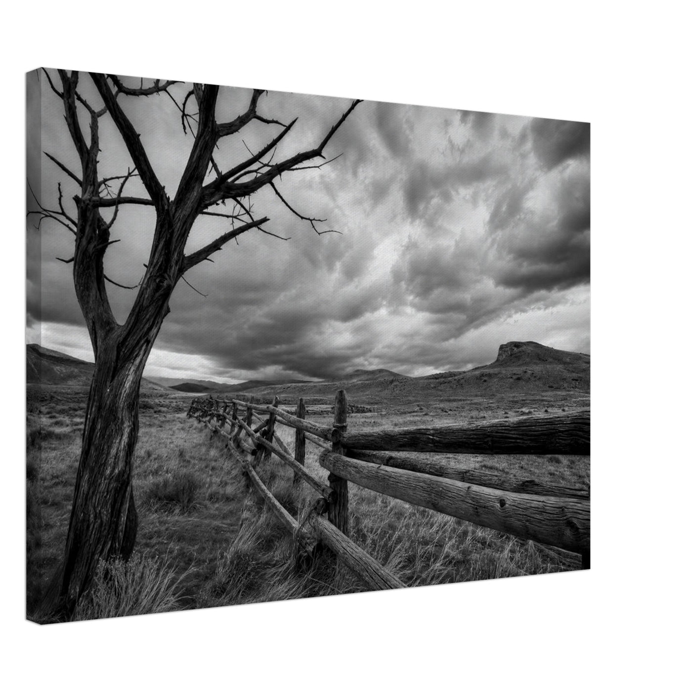 Canvas print of a lone tree and rustic fence — room view, ready to hang.