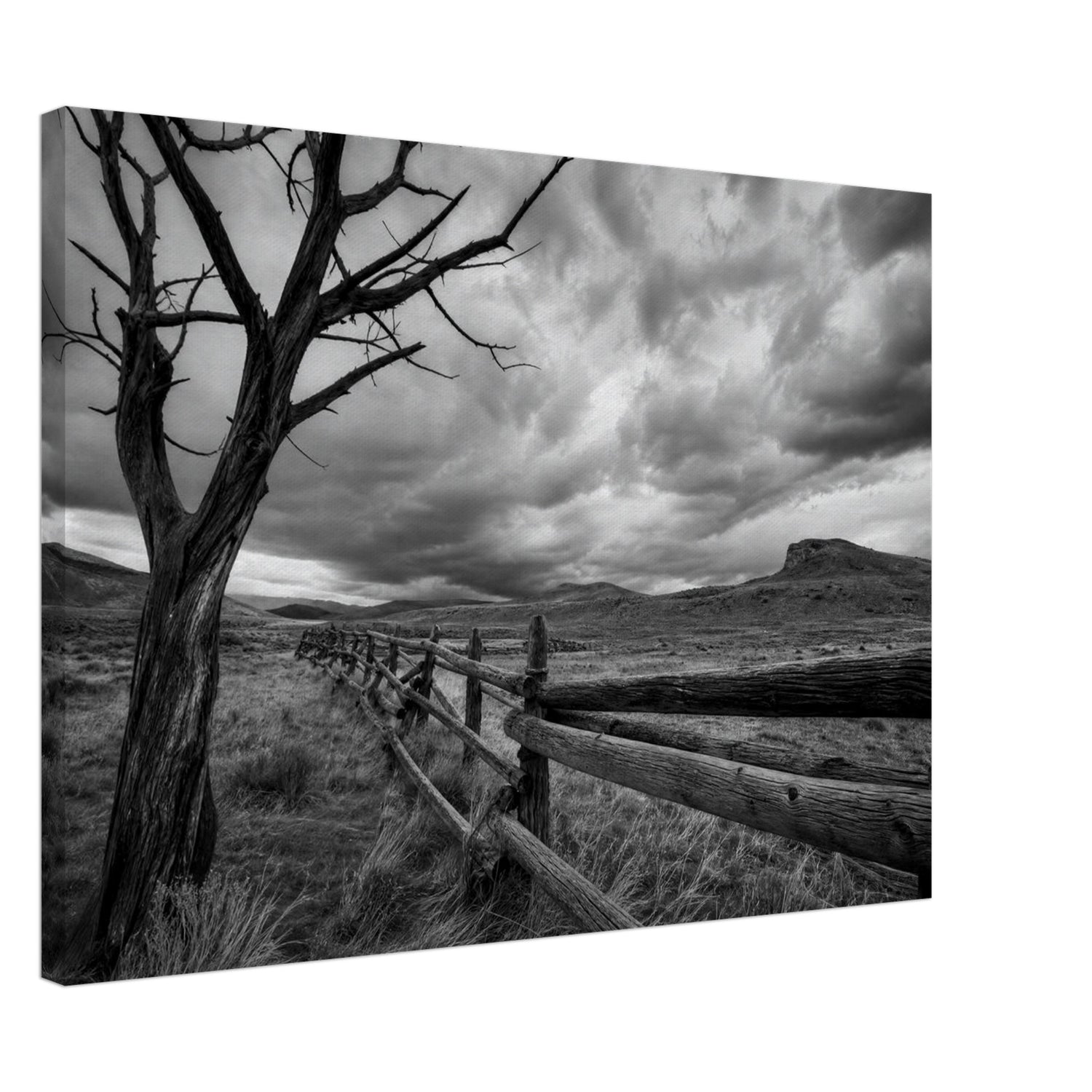 Canvas print of a lone tree and rustic fence — room view, ready to hang.