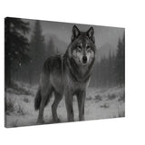 American Grey Wolf – Canvas Art Print | Canvas of America