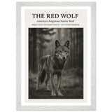 The Red Wolf – Canvas Art Print | Canvas of America