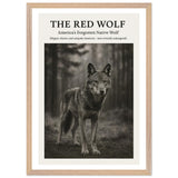 The Red Wolf – Canvas Art Print | Canvas of America