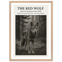 The Red Wolf – Canvas Art Print | Canvas of America