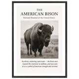 The American Bison – Canvas Art Print | Canvas of America