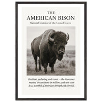 The American Bison – Canvas Art Print | Canvas of America