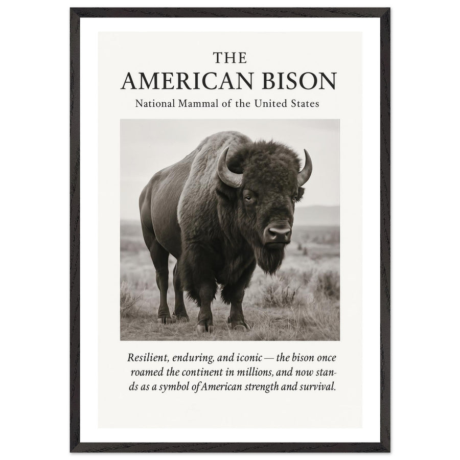 The American Bison – Canvas Art Print | Canvas of America